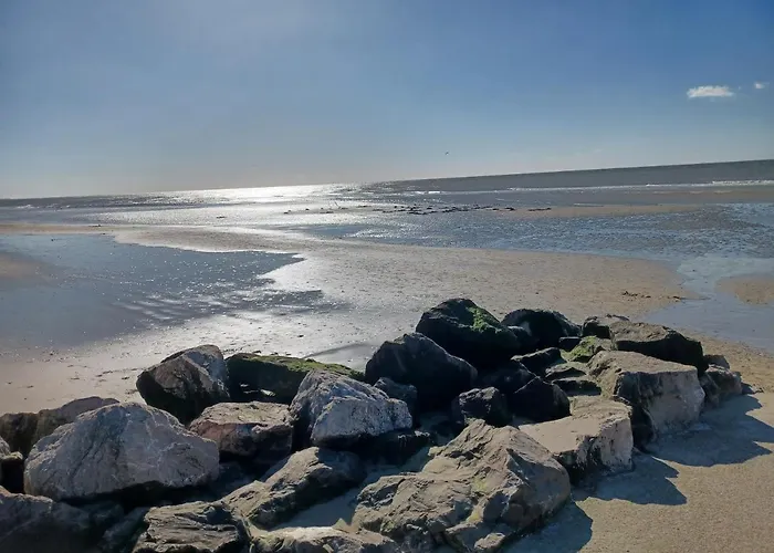 La Dune Blanche Camiers